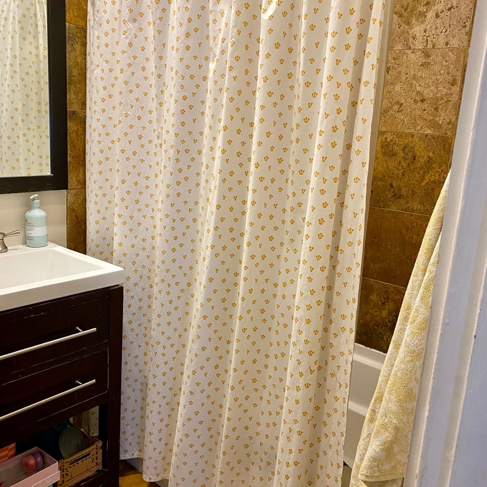 Schoolhouse shower curtain in thistle print